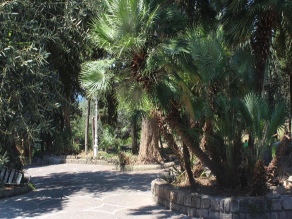 Faraglioni Di Sorrento Guesthouse الغرفة الصورة