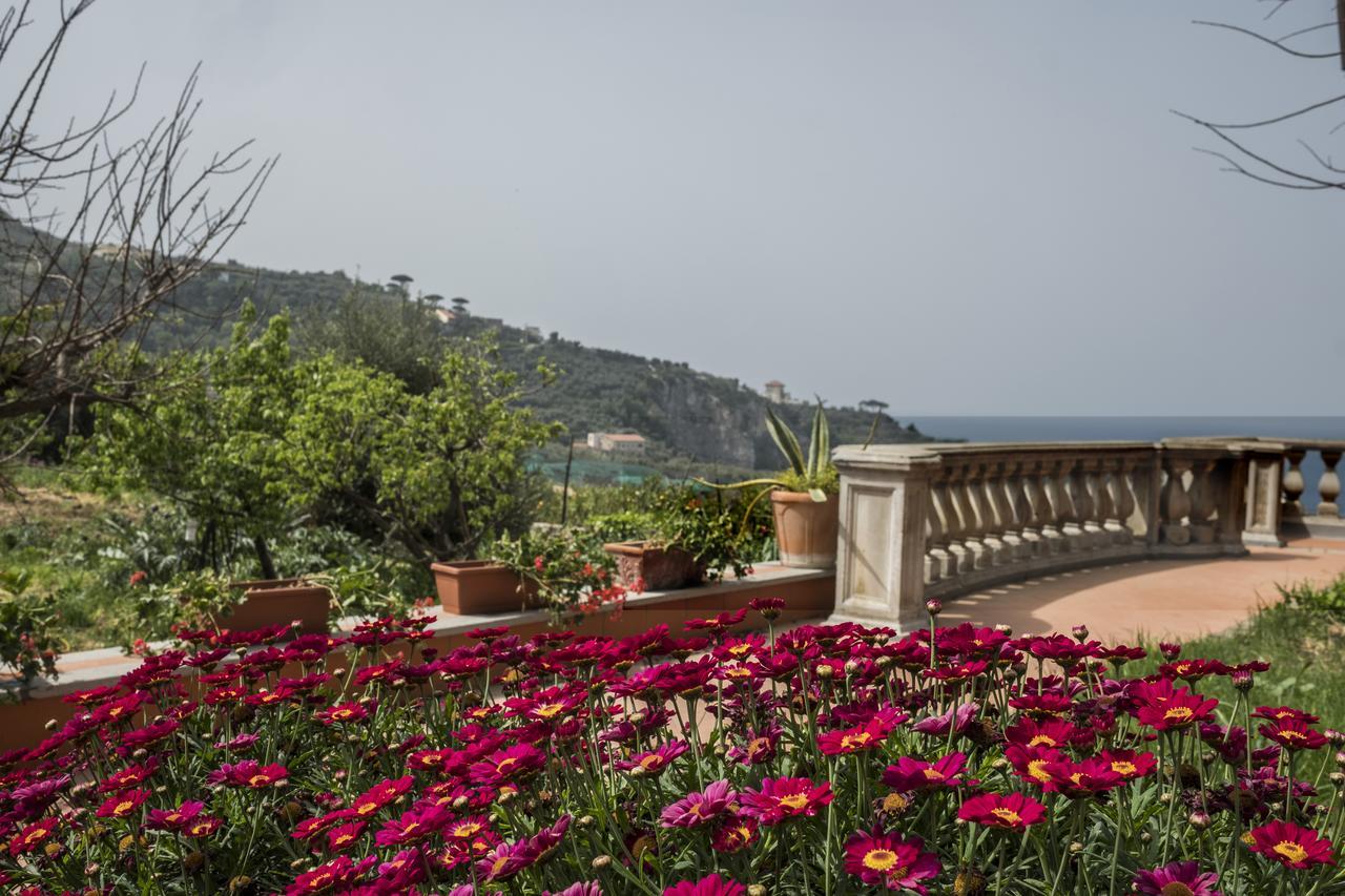 Faraglioni Di Sorrento Holiday home المظهر الخارجي الصورة