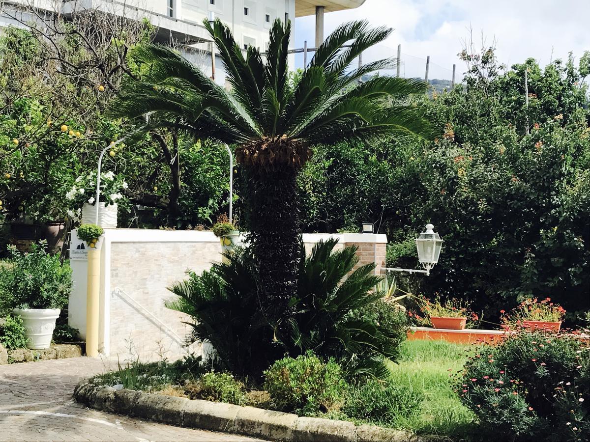 Faraglioni Di Sorrento Guesthouse المظهر الخارجي الصورة